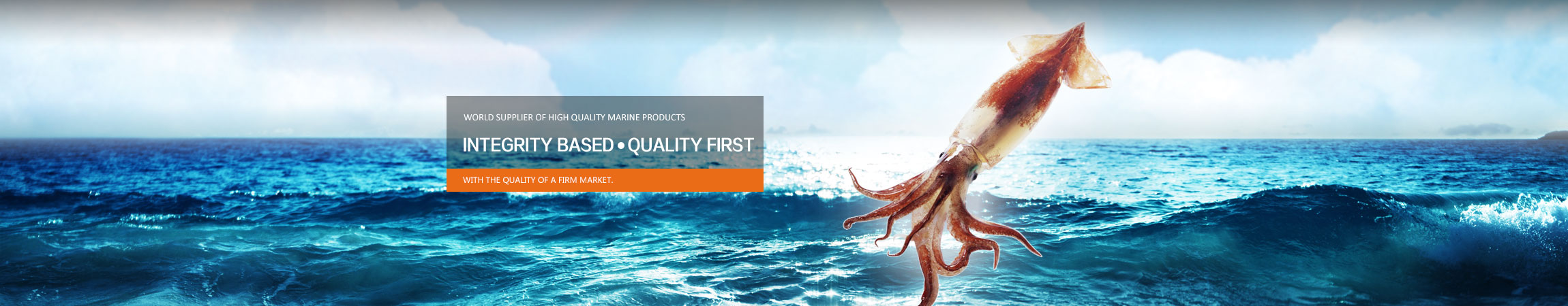 Squid,China Manufacturers, China Suppliers, Products Made in China